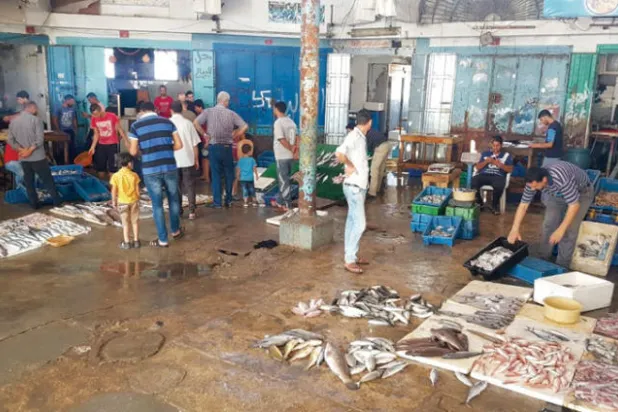 الغزيون يفضلون الأسماك على اللحوم... و«الحسبة» باب رزق مفتوح على البحر