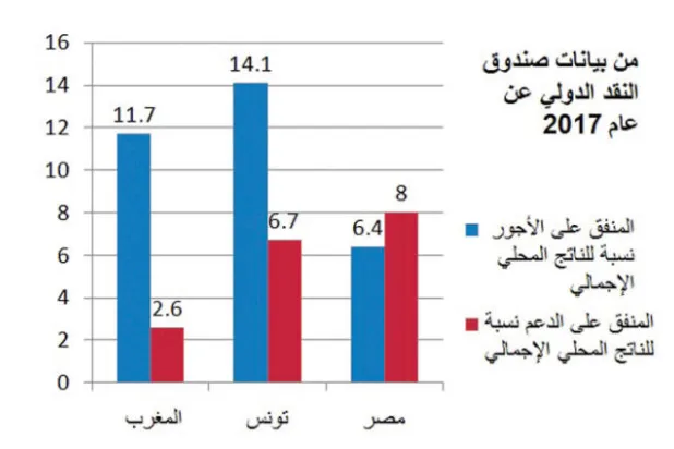 كيف استجابت بلدان شمال أفريقيا لتوصيات صندوق النقد؟