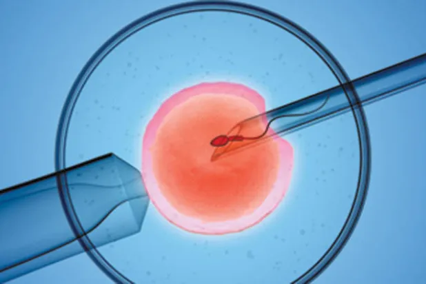 «أطفال حسب الطلب»... بأسعار مخفضة