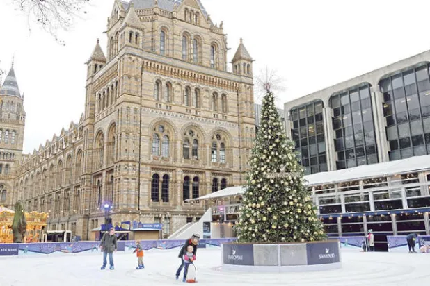 متحف التاريخ الطبيعي موطن العينات العلمية وعلوم الأرض