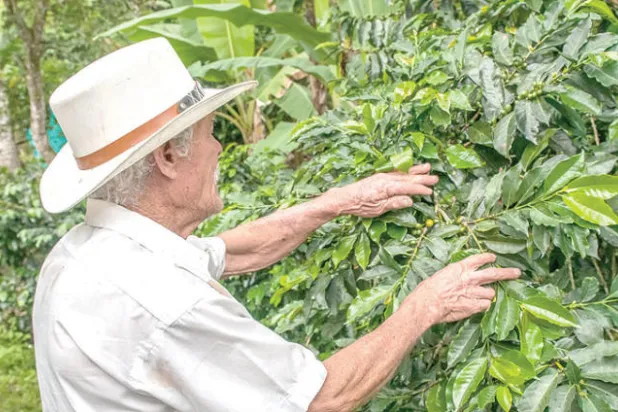 في كولومبيا... سياحة برائحة القهوة