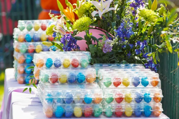 Green, Blue Eggs a Lie Manipulating People in Turkey