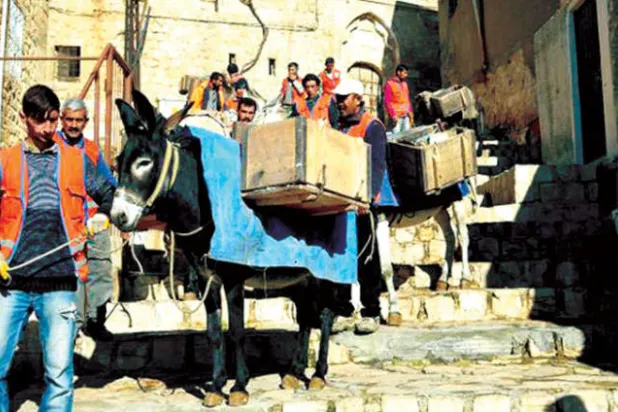 حفل تكريم في تركيا لحمير أُحيلت إلى التقاعد