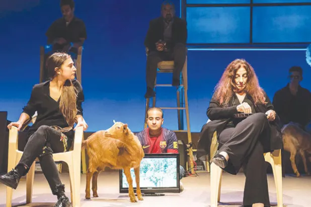 زاد الديكتاتورية والتستر على الحقيقة