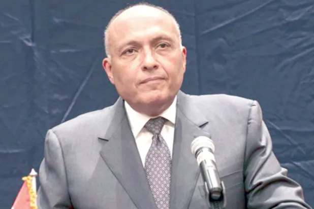 شكري: مسؤولون أتراك أبلغوا مصر الرغبة في التقارب