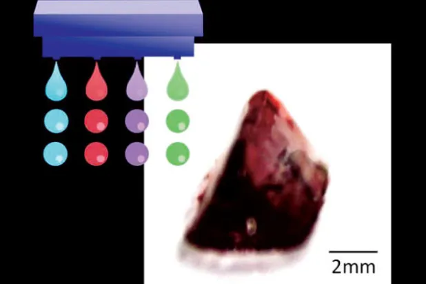«حبر بيولوجي» لطباعة أعضاء بشرية بديلة