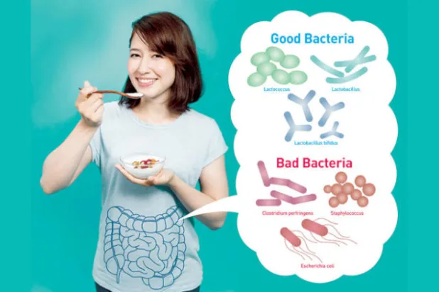 بكتيريا الأمعاء... هل تحول دون فقدان الوزن؟