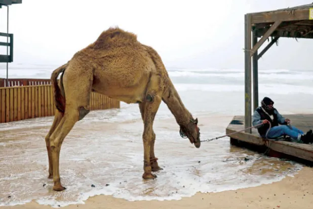 إسرائيل تخشى تبعات قرار ترمب تقليص ميزانية «أونروا»