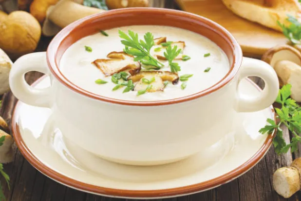 «الفطر» ليس مصنفاً كنبتة وفيه أكثر من 1000 نوع