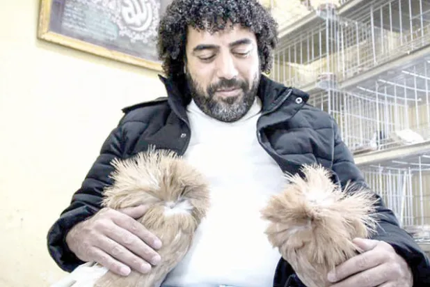 تجارة حمام الزينة في مصر تتحدّى حظر الاستيراد وتغيّر الطقس