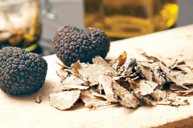 الكمأة نبات الرعد ونسيج الأرض اللين الذي لا يقدر بثمن