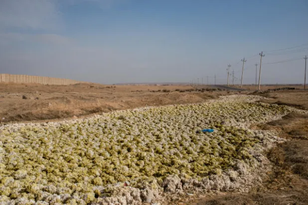 Washington: ISIS Oil Fires in Iraq Lead to Long-term Environmental, Health Damages 