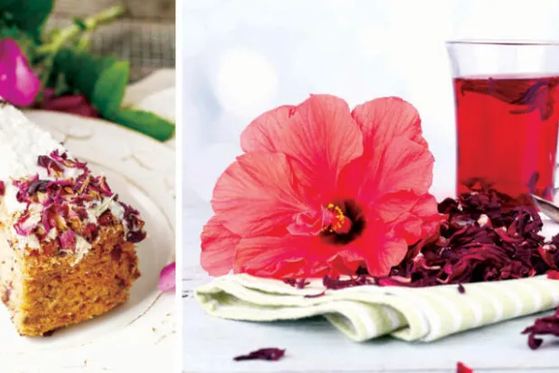 «الكركديه» شاي الإمبراطورية ونبتة الجمال