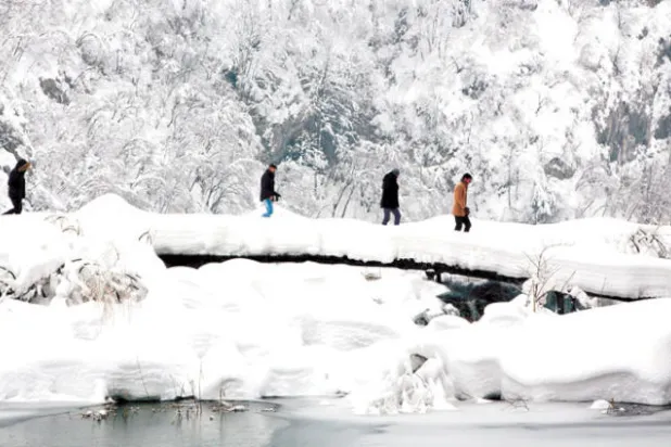 جسر مغطى بالثلوج في حديقة عامة بيليتفيشي بأوكرانيا (أ.ب)