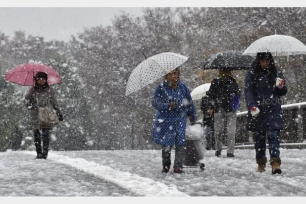 اليابان: مقتل شخص وإلغاء رحلات جوية جراء عاصفة ثلجية