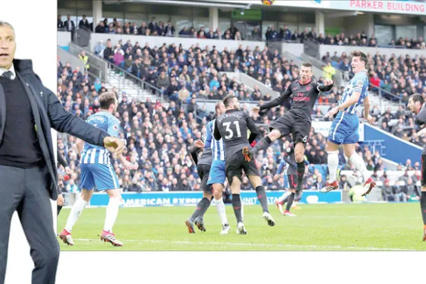 هوتون قادر على إبقاء برايتون بين الكبار