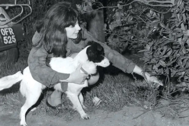 الكلب بيكلز مع صاحبته التي تشير إلى مكان العثور على كأس العالم قبل 50 عاماً