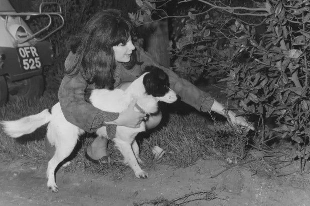 World Cup Stunning Moments: Pickles...Football's most Famous Dog