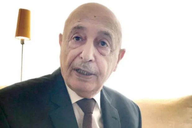 Libyan Speaker: Qatar and Turkey Violated Sovereignty of Our Country