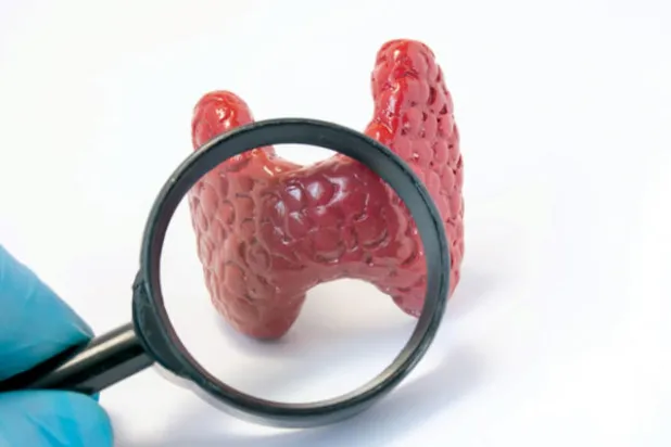 قصور الغدة الدرقية... اختبارات وعلاجات متفاوتة