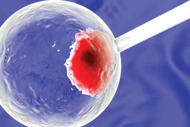 العلاج بالخلايا الجذعية... من بحث علمي واعد إلى استخدامات مريبة