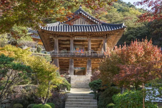 إدراج 6 مواقع ثقافية جديدة في قائمة التراث العالمي