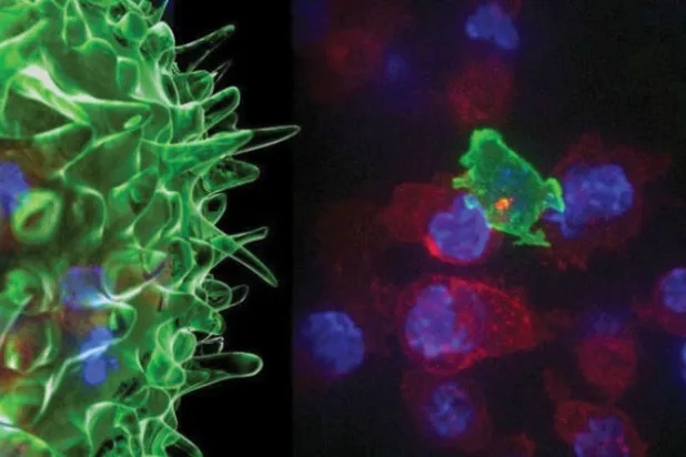 تجربة ناجحة لعلاج السرطان بخلاياه