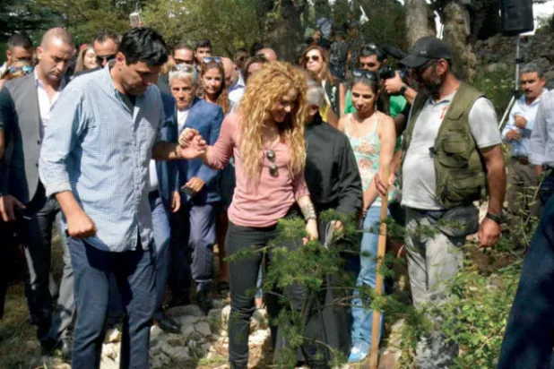 شاكيرا: أنا شجرة الأرز في كولومبيا