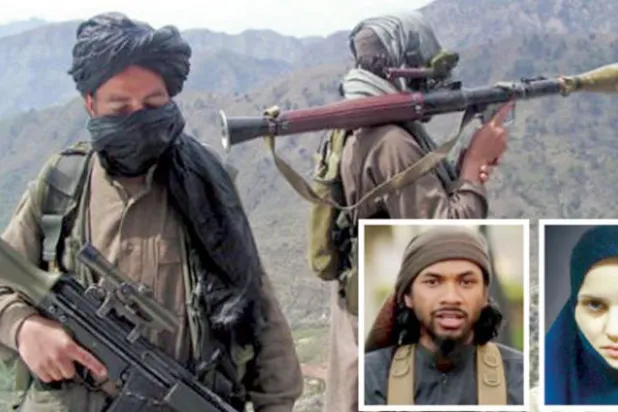 دراسة مصرية: 5 مراجعات قدمتها «القاعدة» مثلت دستوراً لإعادة إحياء التنظيم