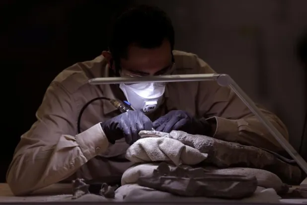 اكتشاف عظام حيوانات عمرها نصف مليون عام بالقرم