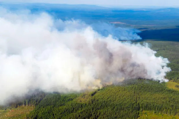 حرائق بالعشرات في غابات السويد والدفاع المدني يعجز عن مكافحتها