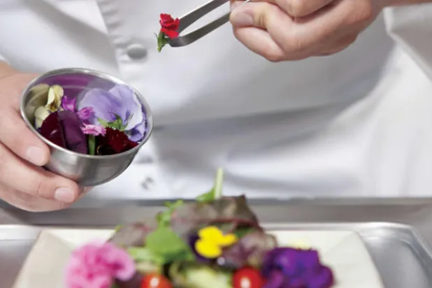 هناك مجموعة من الزهور القابلة للأكل