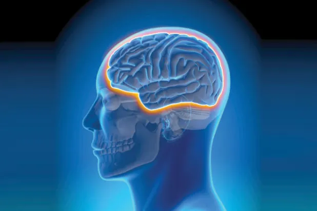 موجات صوتية تخترق الدماغ لعلاج مرض ألزهايمر