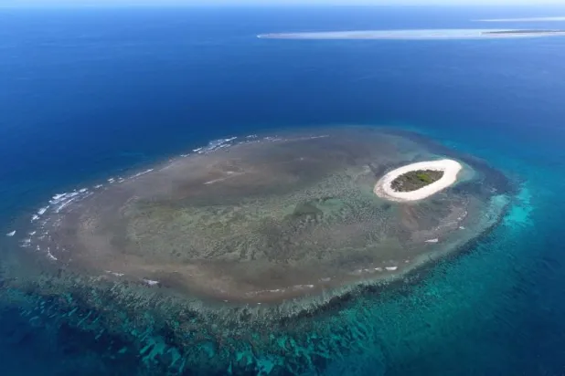 النشاط البشري يضرب المحيطات