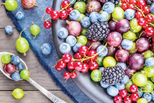 هل يمكن للنظام الغذائي علاج الآلام المزمنة؟