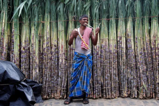 أسعار السكر تهوي 30 % في 2018.. وسيناريوهات متشائمة بالأسواق