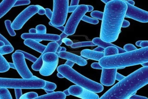 البكتيريا الخارقة أصبحت أكثر مقاومة للمطهِرات