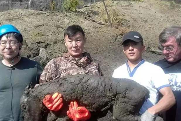 الباحثون أكدوا أن جثة الحصان لا تزال في حالة ممتازة (الإندبندنت)