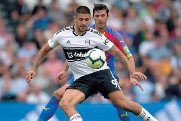 ألكسندر ميتروفيتش يمتلك الدوافع والخبرات التي تمكنه من التألق مع فولهام