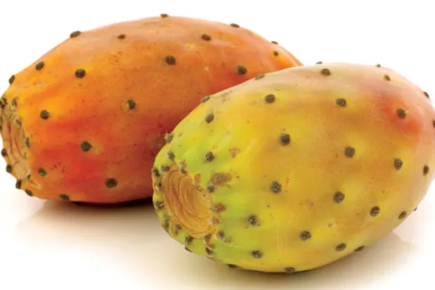 «التين الشوكي» يغزو شوارع القاهرة صيفاً