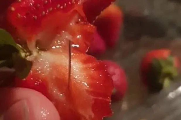 نيوزيلندا تدخل على خط أزمة «فراولة الدبابيس»