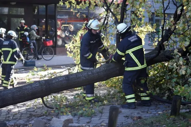 مقتل امرأة وإصابة طفل جراء عاصفة في ألمانيا