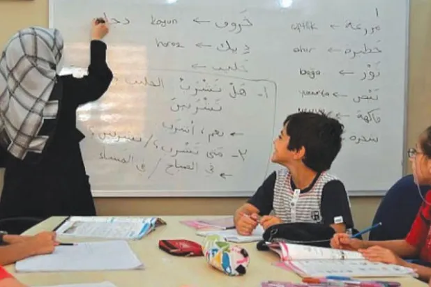 ادرجت اللغة العربية بشكل رسمي في المناهج الفرنسية منذ 2017 كلغة أجنبية