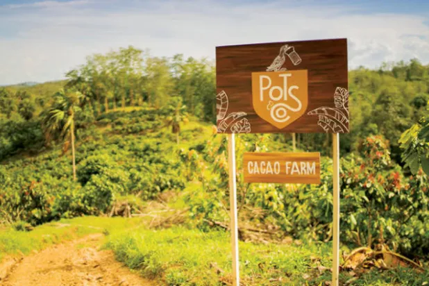 مزرعة الكاكاو في كولومبيا التي تنتج «بوتس آند كو» منها