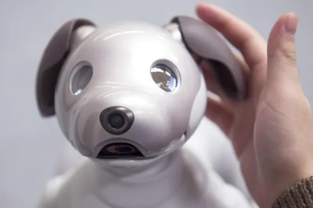 «آيبو»... كلب ـ روبوت يذيب قلوبكم بحركاته الدقيقة