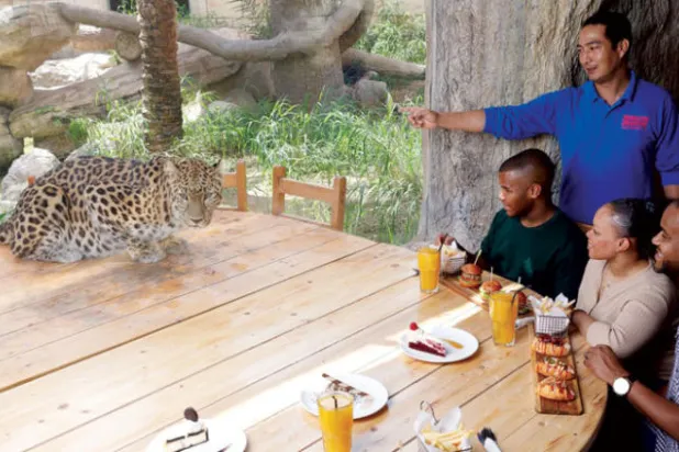 {غداء مع الفهود} في حديقة الإمارات للحيوانات