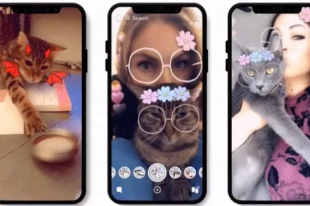 خاصية جديدة من «سنابشات» لمحبي القطط