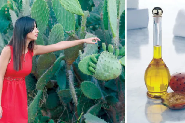 زيت التين الشوكي... إكسير الشباب الجديد