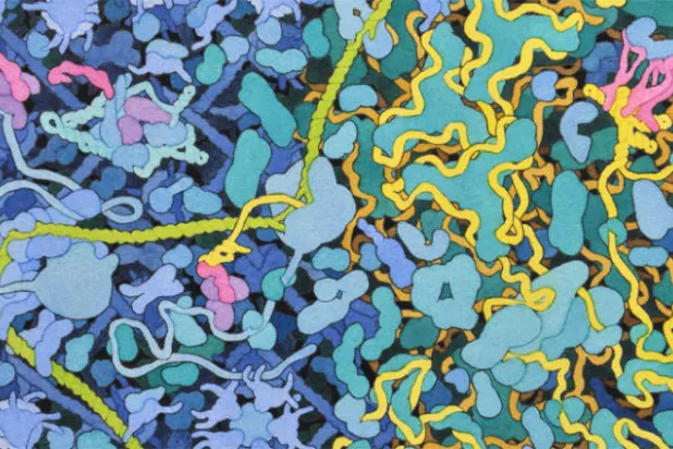 العلم على بعد خطوة واحدة لاكتشاف علاج نهائي للإيدز