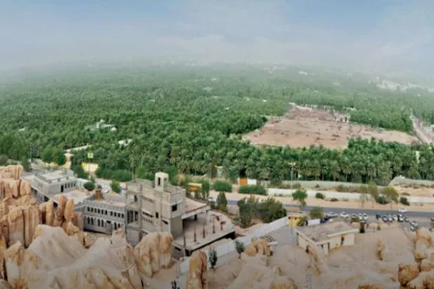 واحة الأحساء سبق إدراجها ضمن لائحة التراث العالمي («الشرق الأوسط»)